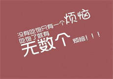 春茶社骗局
